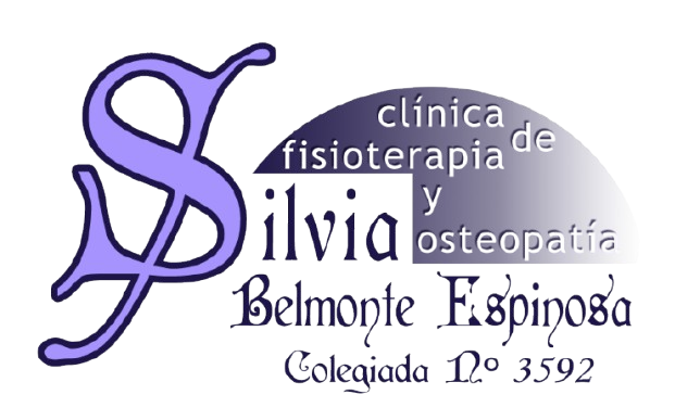 Logotipo Clinica Fisioterapia Silvia Belmonte sin fondo